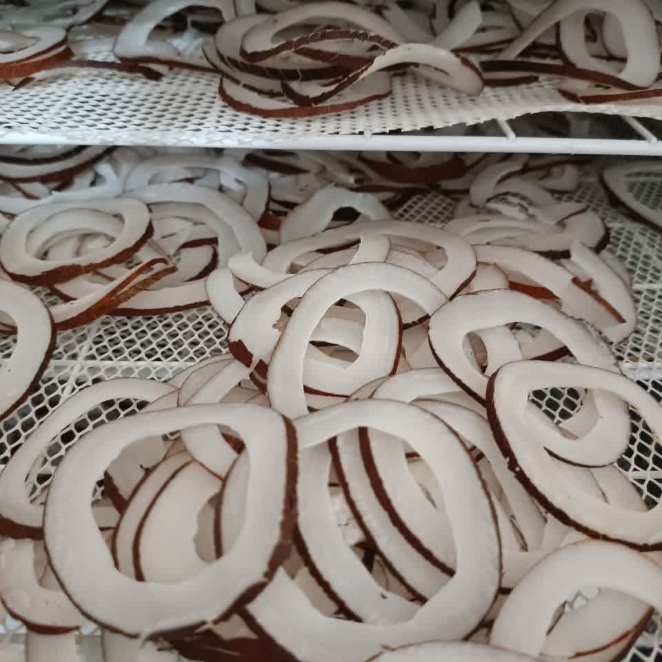 نارگیل داودی 